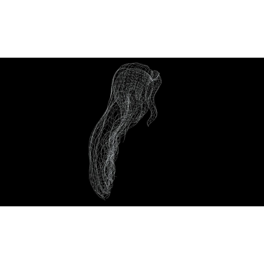 Wavy Long Hair 3D Model – Low Poly Hair Asset, PBR Textures - View 10