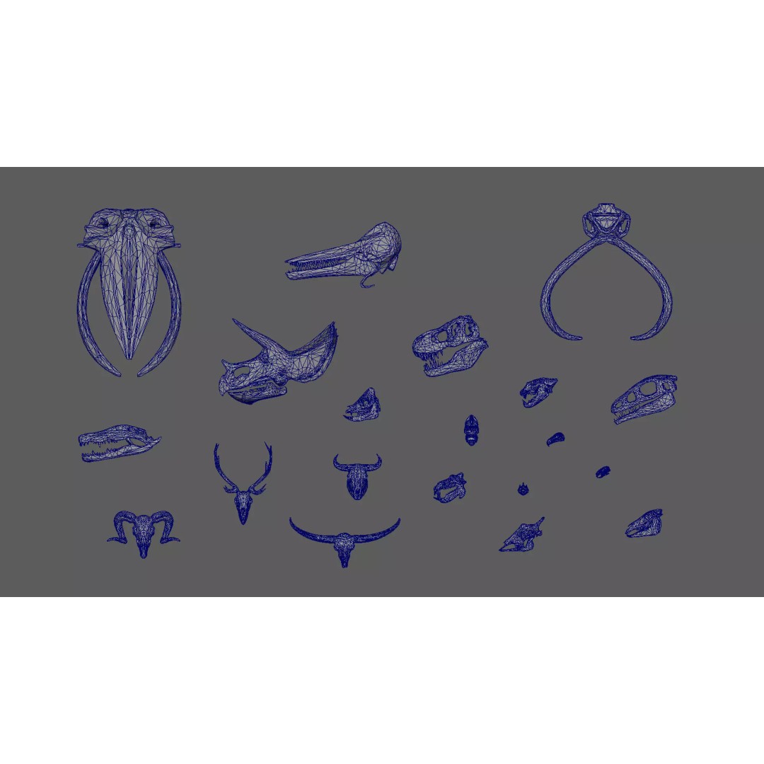 Skulls 3D Model – Low Poly Animal Collection, FBX, Game Ready