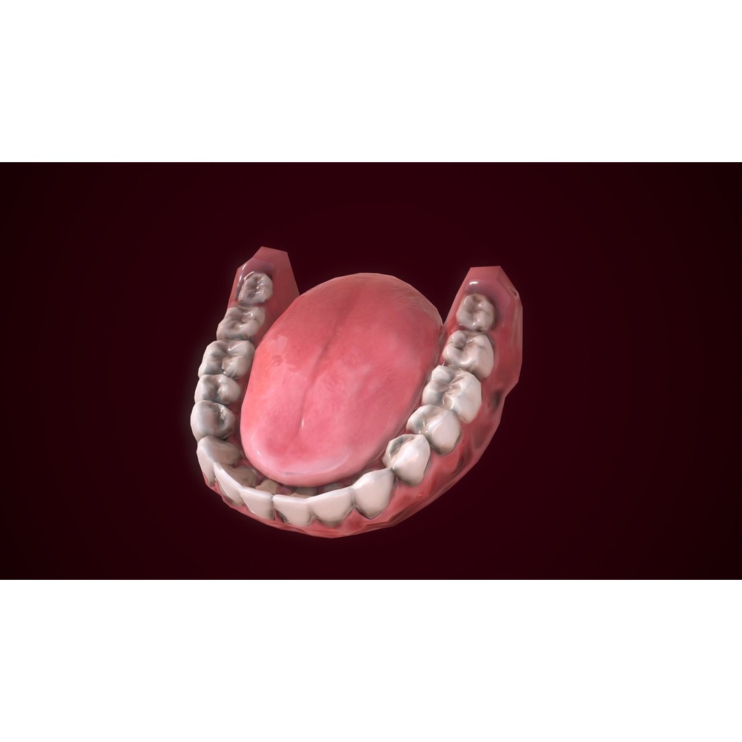 Mouth Teeth 3D Model – Low Poly Game Asset with PBR Textures