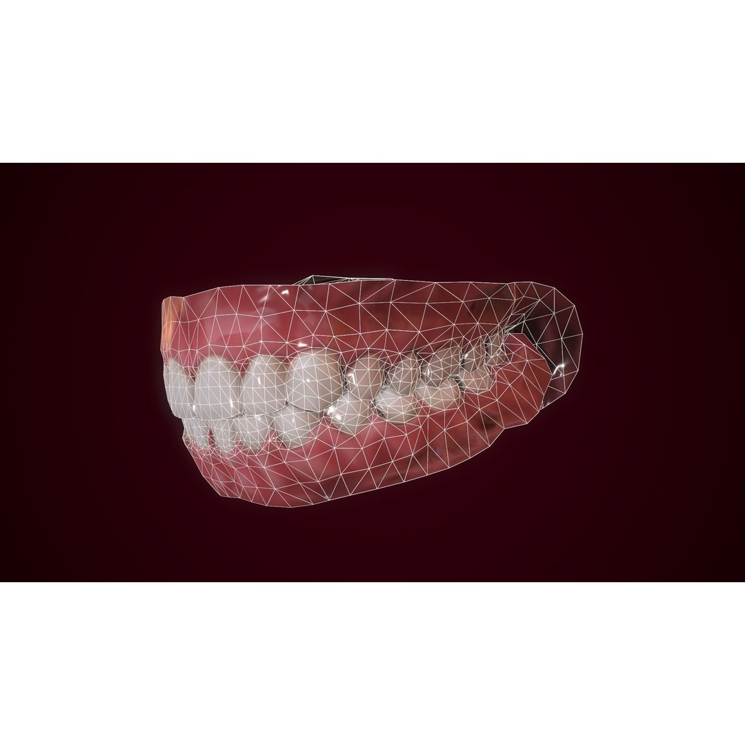 Mouth Teeth 3D Model – Low Poly Game Asset with PBR Textures - View 10