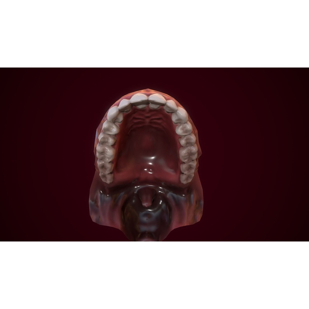 Mouth Teeth 3D Model – Low Poly Game Asset with PBR Textures - View 11