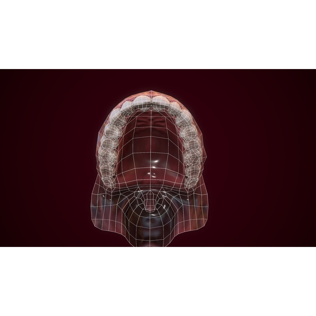 Mouth Teeth 3D Model – Low Poly Game Asset with PBR Textures - View 12