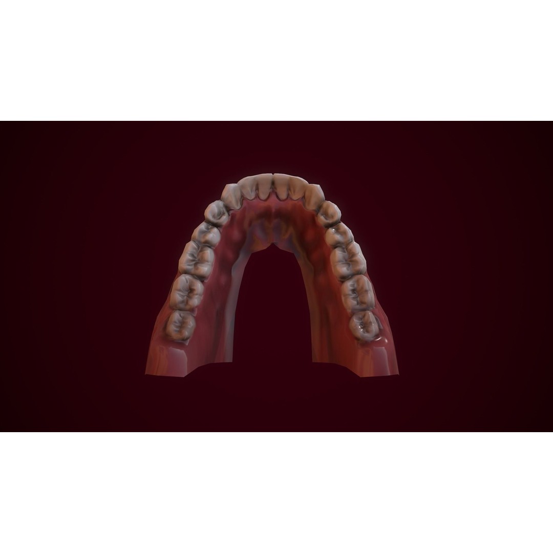 Mouth Teeth 3D Model – Low Poly Game Asset with PBR Textures - View 13