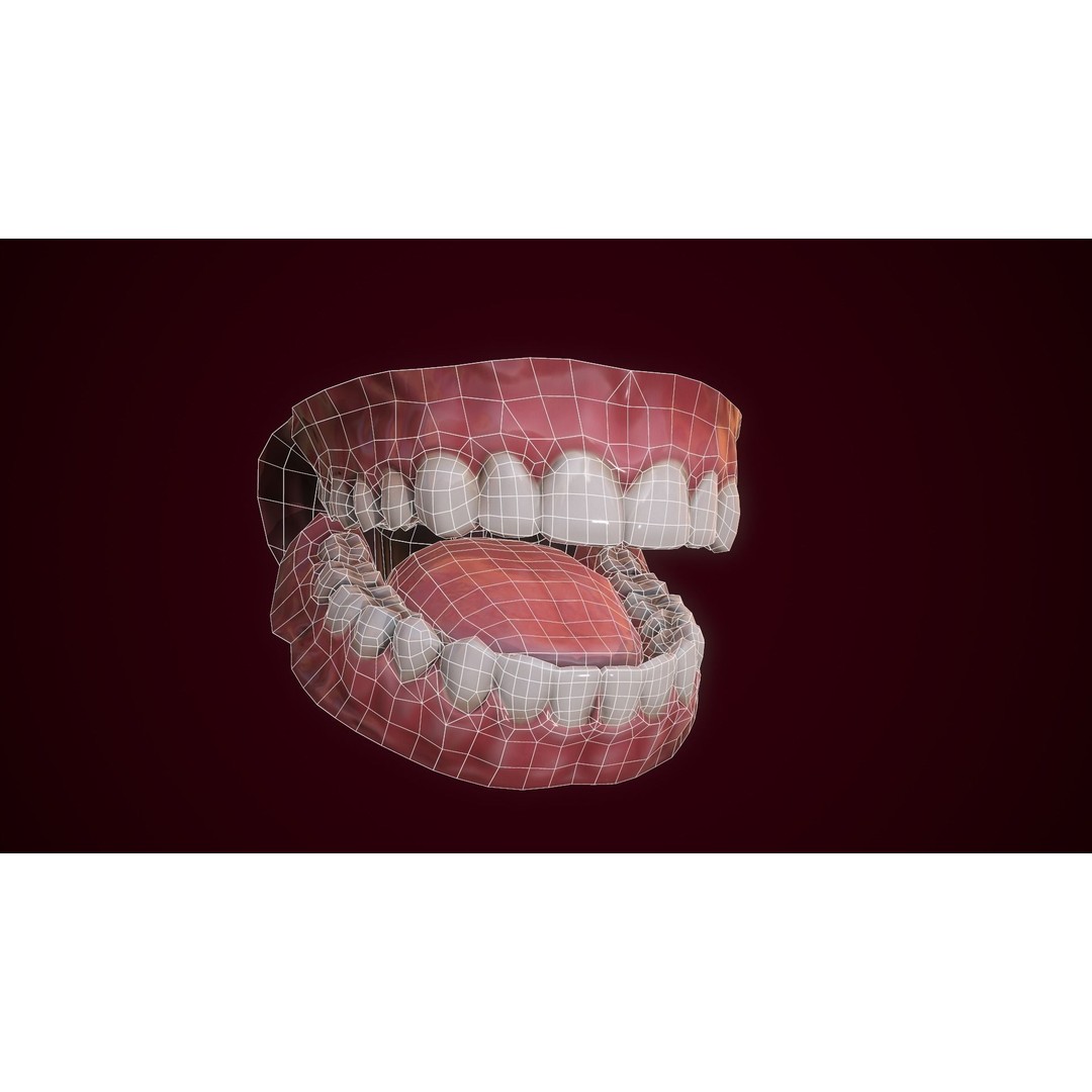 Mouth Teeth 3D Model – Low Poly Game Asset with PBR Textures - View 3