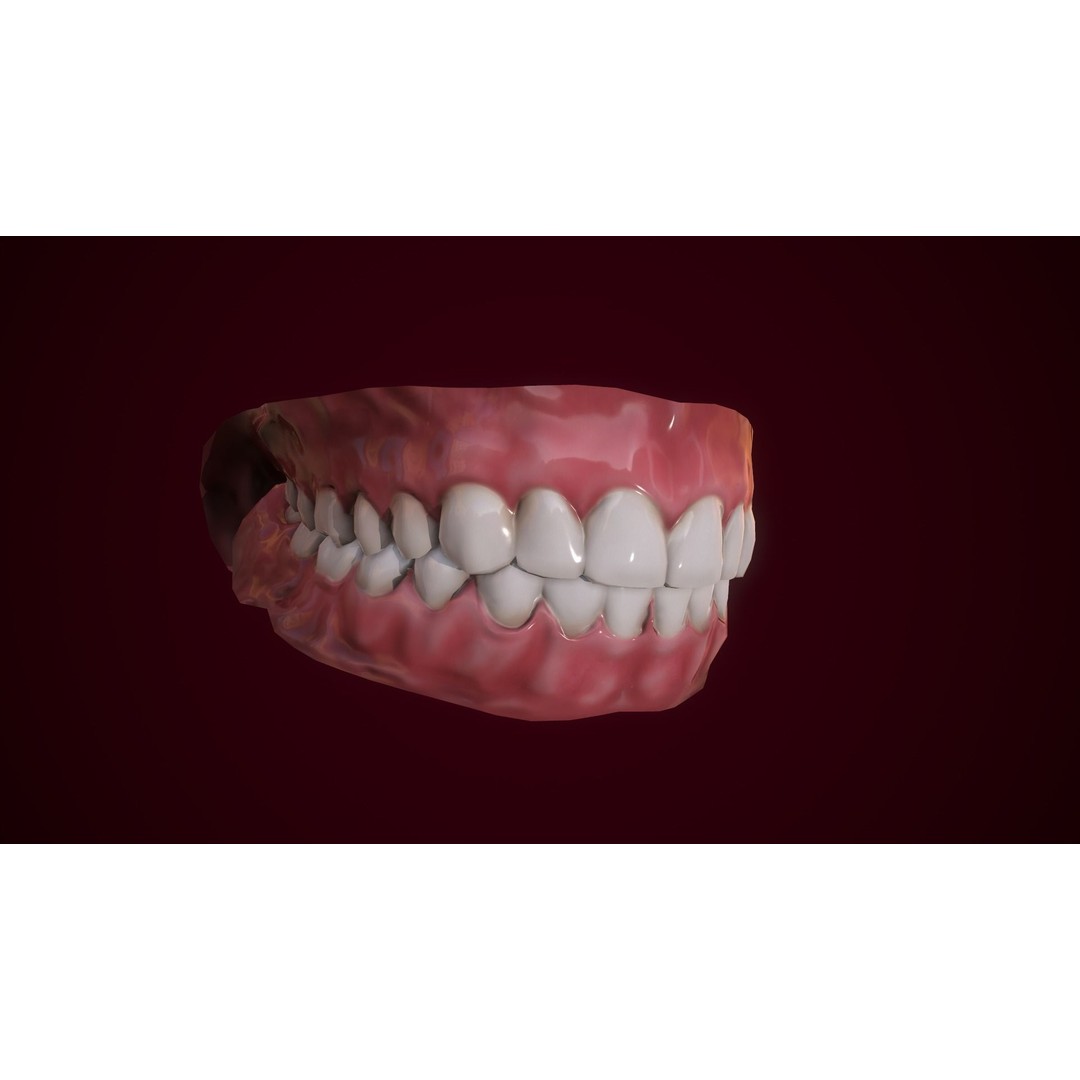 Mouth Teeth 3D Model – Low Poly Game Asset with PBR Textures - View 7