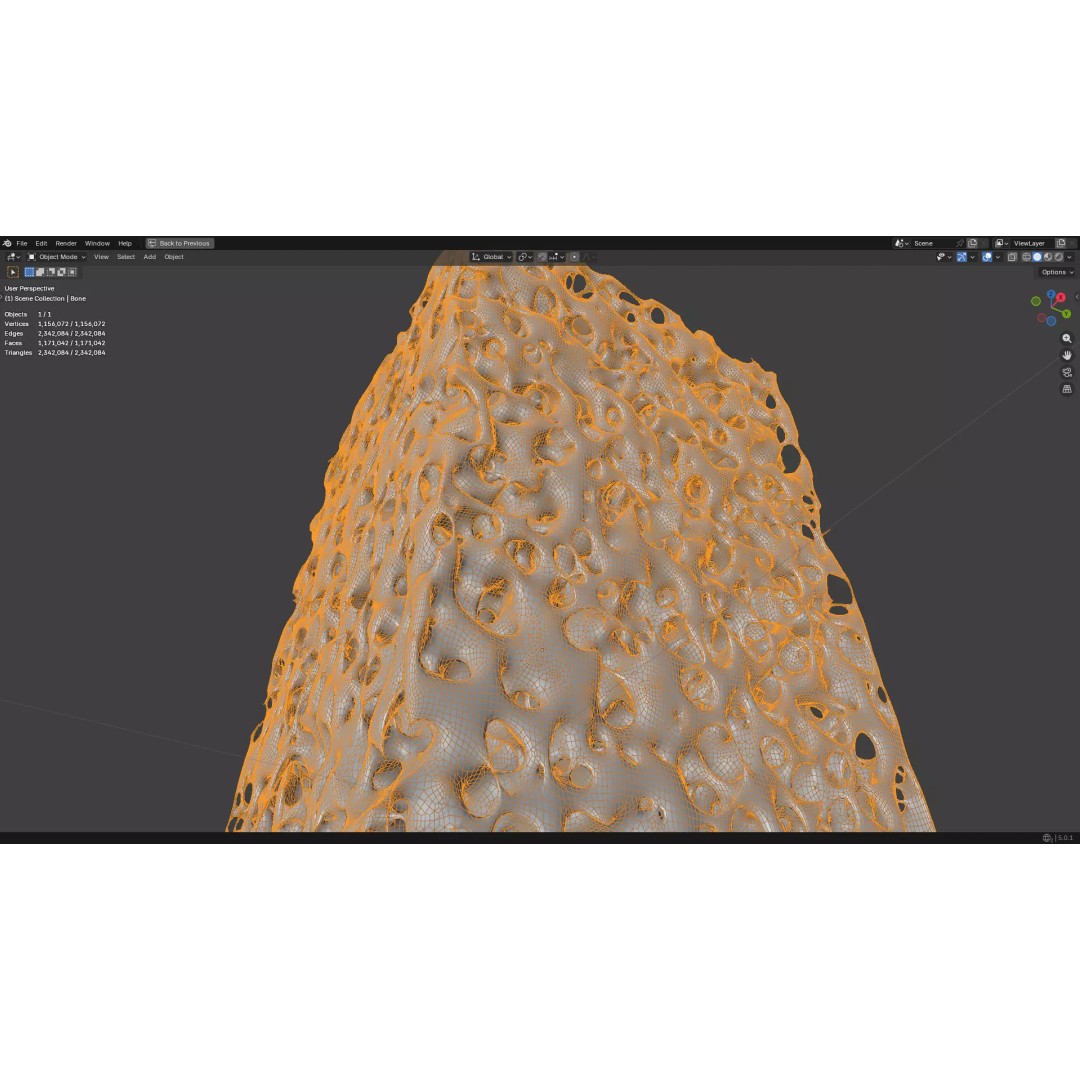 Bone Structure 3D Model – PBR Medical Asset, FBX, OBJ, Blender