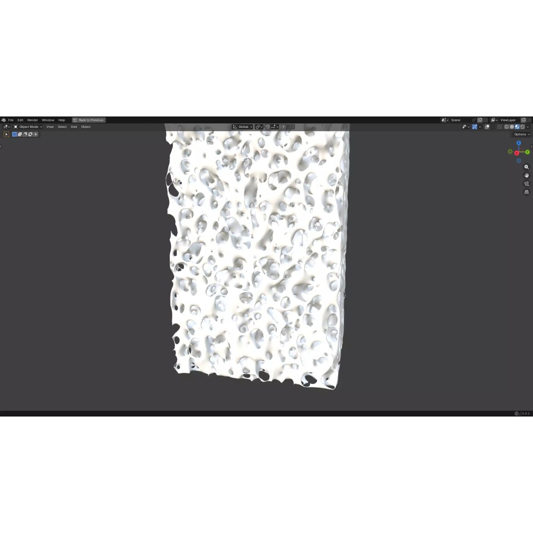 Bone Structure 3D Model – PBR Medical Asset, FBX, OBJ, Blender - View 10