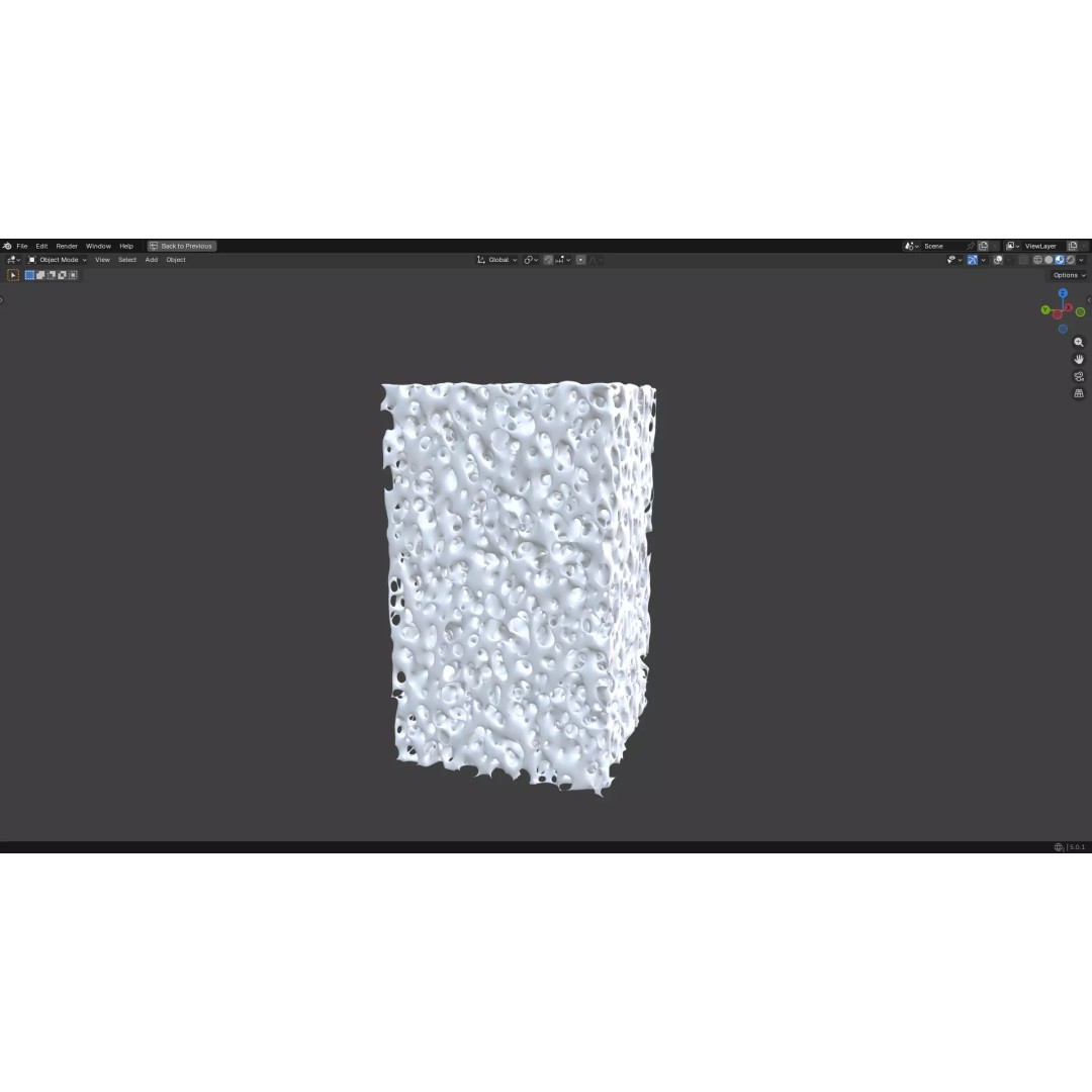 Bone Structure 3D Model – PBR Medical Asset, FBX, OBJ, Blender - View 12