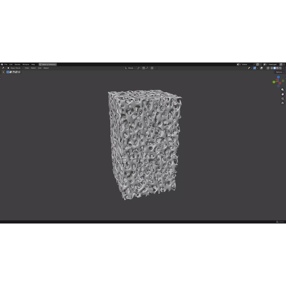 Bone Structure 3D Model – PBR Medical Asset, FBX, OBJ, Blender - View 15