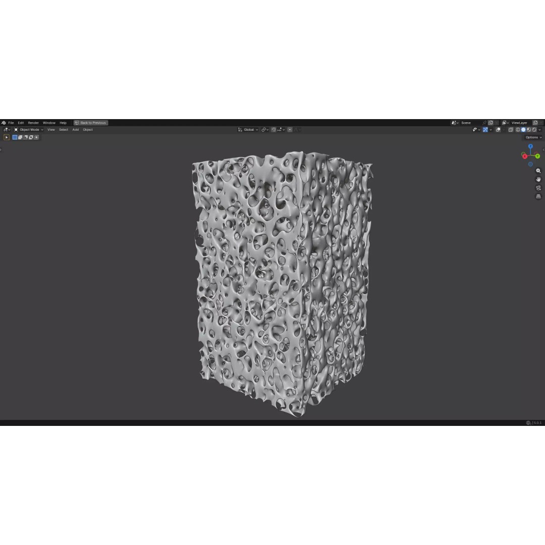 Bone Structure 3D Model – PBR Medical Asset, FBX, OBJ, Blender - View 18