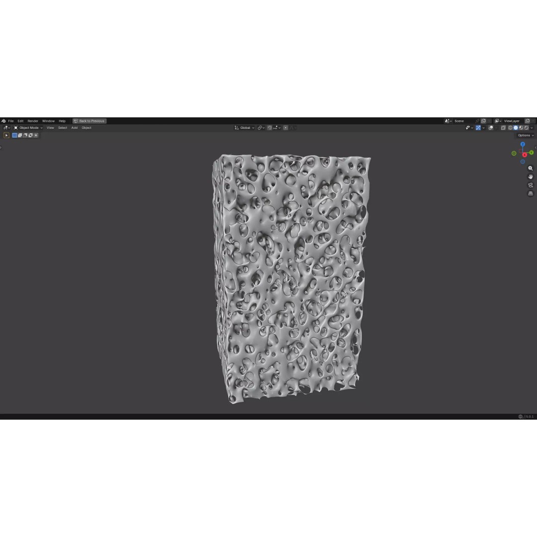 Bone Structure 3D Model – PBR Medical Asset, FBX, OBJ, Blender - View 19