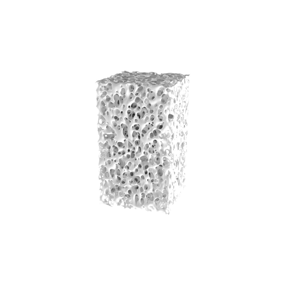 Bone Structure 3D Model – PBR Medical Asset, FBX, OBJ, Blender - View 2