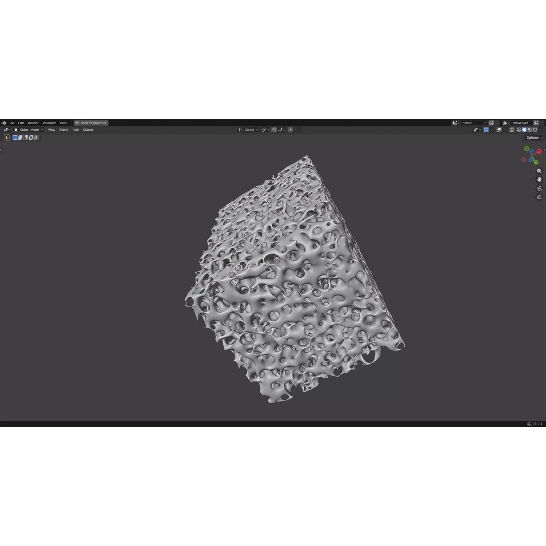 Bone Structure 3D Model – PBR Medical Asset, FBX, OBJ, Blender - View 22