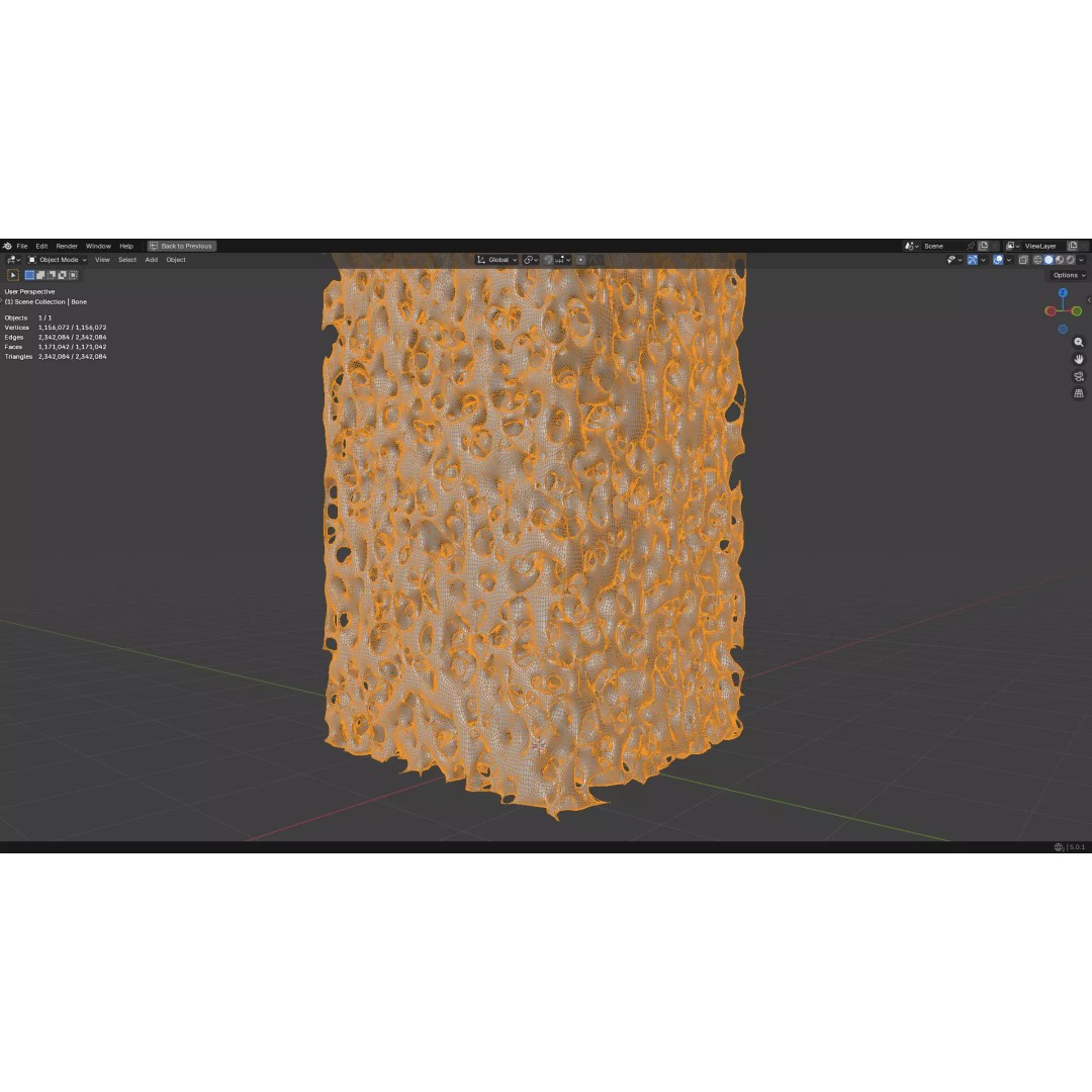 Bone Structure 3D Model – PBR Medical Asset, FBX, OBJ, Blender - View 28