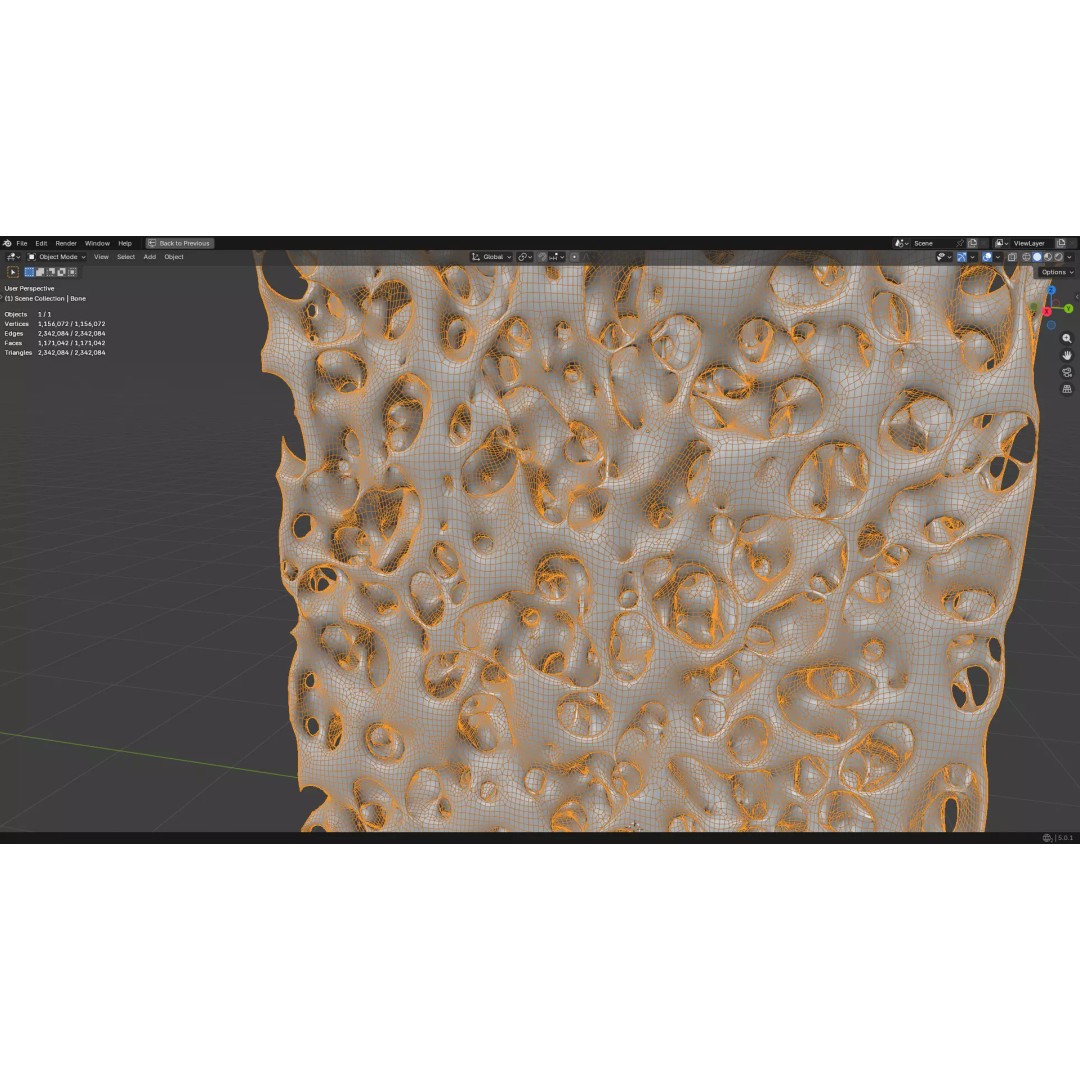 Bone Structure 3D Model – PBR Medical Asset, FBX, OBJ, Blender - View 30