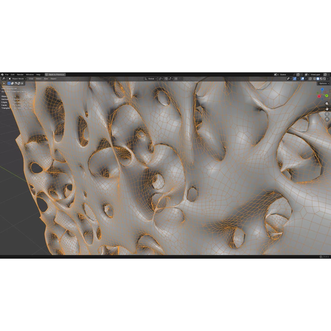 Bone Structure 3D Model – PBR Medical Asset, FBX, OBJ, Blender - View 31