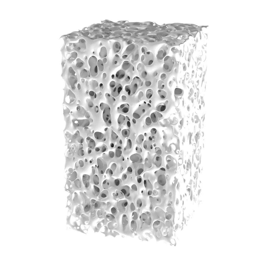 Bone Structure 3D Model – PBR Medical Asset, FBX, OBJ, Blender - View 37