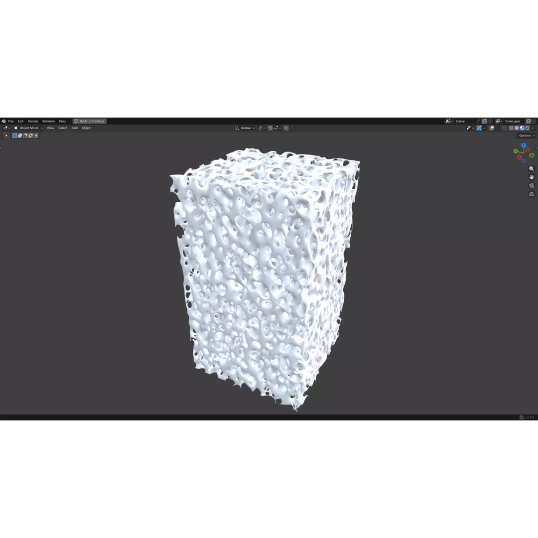 Bone Structure 3D Model – PBR Medical Asset, FBX, OBJ, Blender - View 7