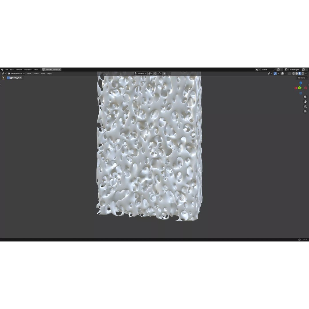 Bone Structure 3D Model – PBR Medical Asset, FBX, OBJ, Blender - View 9
