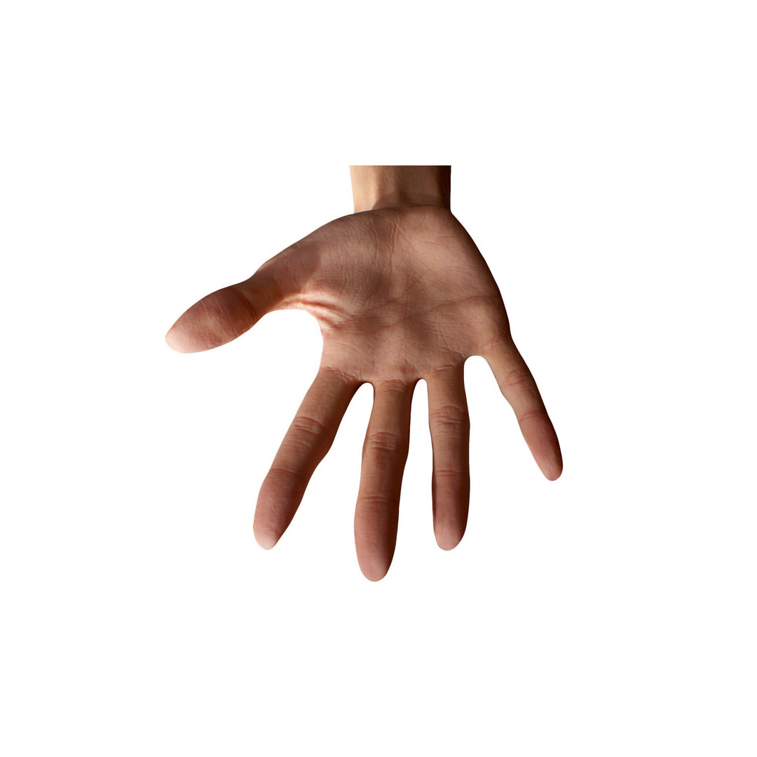 Ishikawa Sayoko 3D Model – Retopologized Hand Scan, OBJ & ZTL