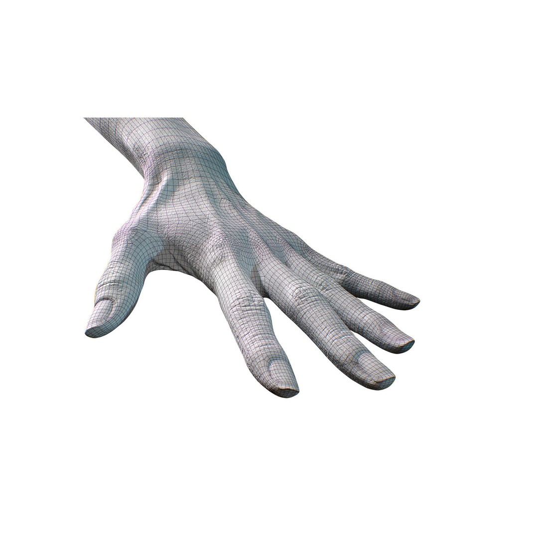 Ishikawa Sayoko 3D Model – Retopologized Hand Scan, OBJ & ZTL - View 10