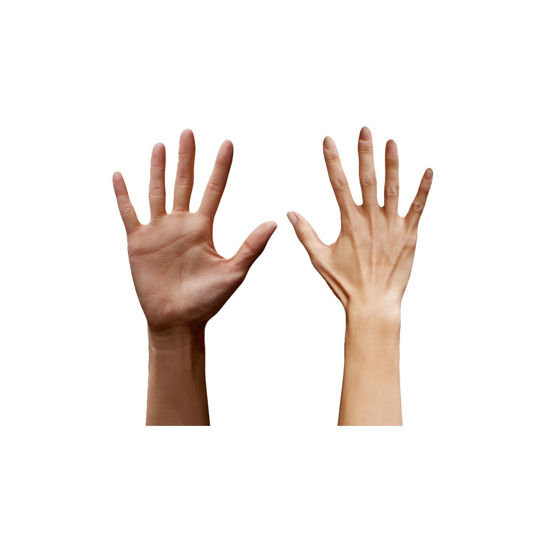 Ishikawa Sayoko 3D Model – Retopologized Hand Scan, OBJ & ZTL - View 5