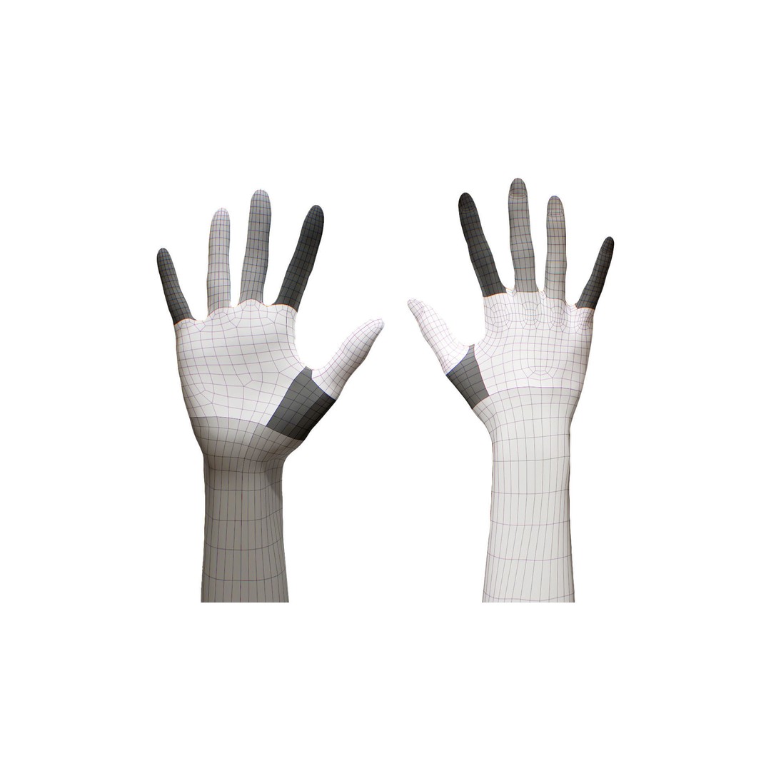 Ishikawa Sayoko 3D Model – Retopologized Hand Scan, OBJ & ZTL - View 6
