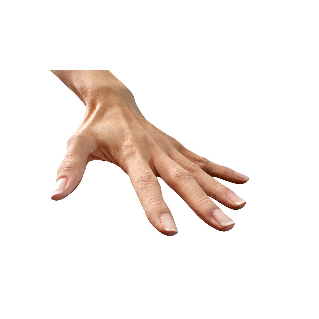 Ishikawa Sayoko 3D Model – Retopologized Hand Scan, OBJ & ZTL - View 7