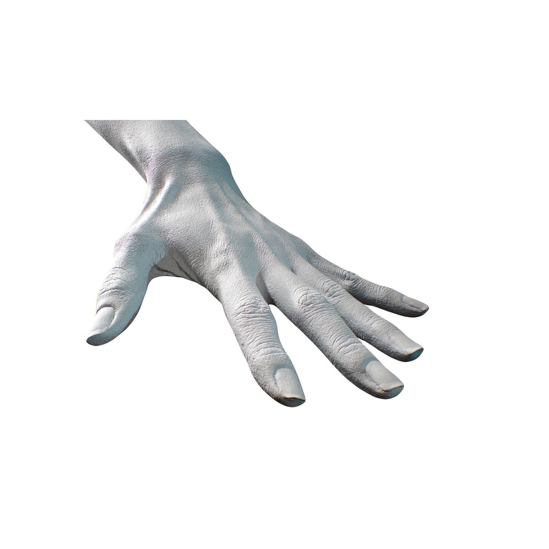 Ishikawa Sayoko 3D Model – Retopologized Hand Scan, OBJ & ZTL - View 9