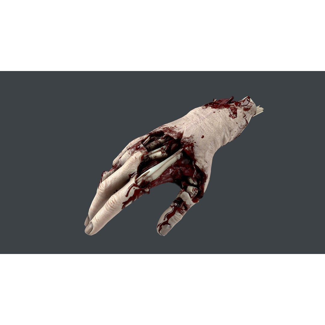 Severed Hands 3D Model – Low Poly Zombie Anatomy Asset, FBX - View 11