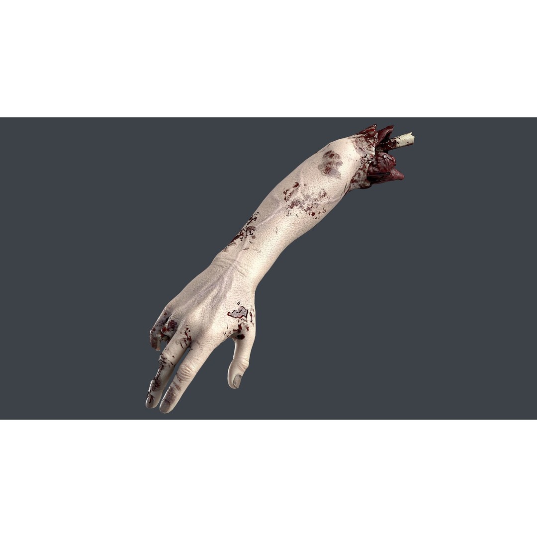 Severed Hands 3D Model – Low Poly Zombie Anatomy Asset, FBX - View 18