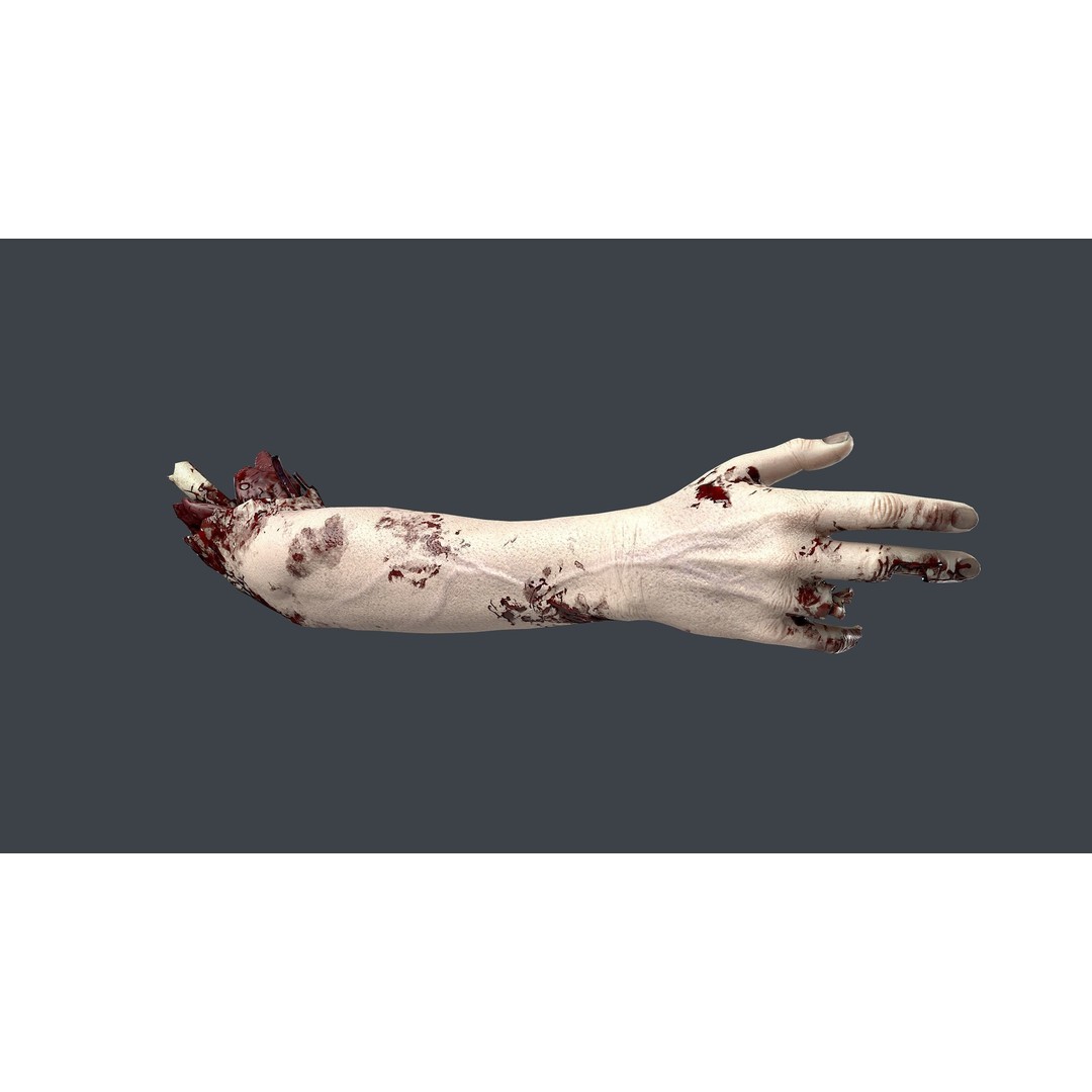 Severed Hands 3D Model – Low Poly Zombie Anatomy Asset, FBX - View 22
