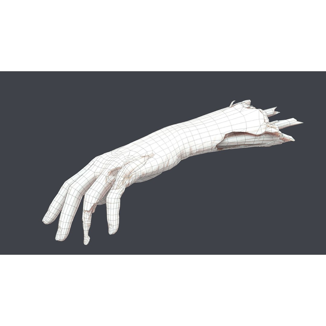 Severed Hands 3D Model – Low Poly Zombie Anatomy Asset, FBX - View 24