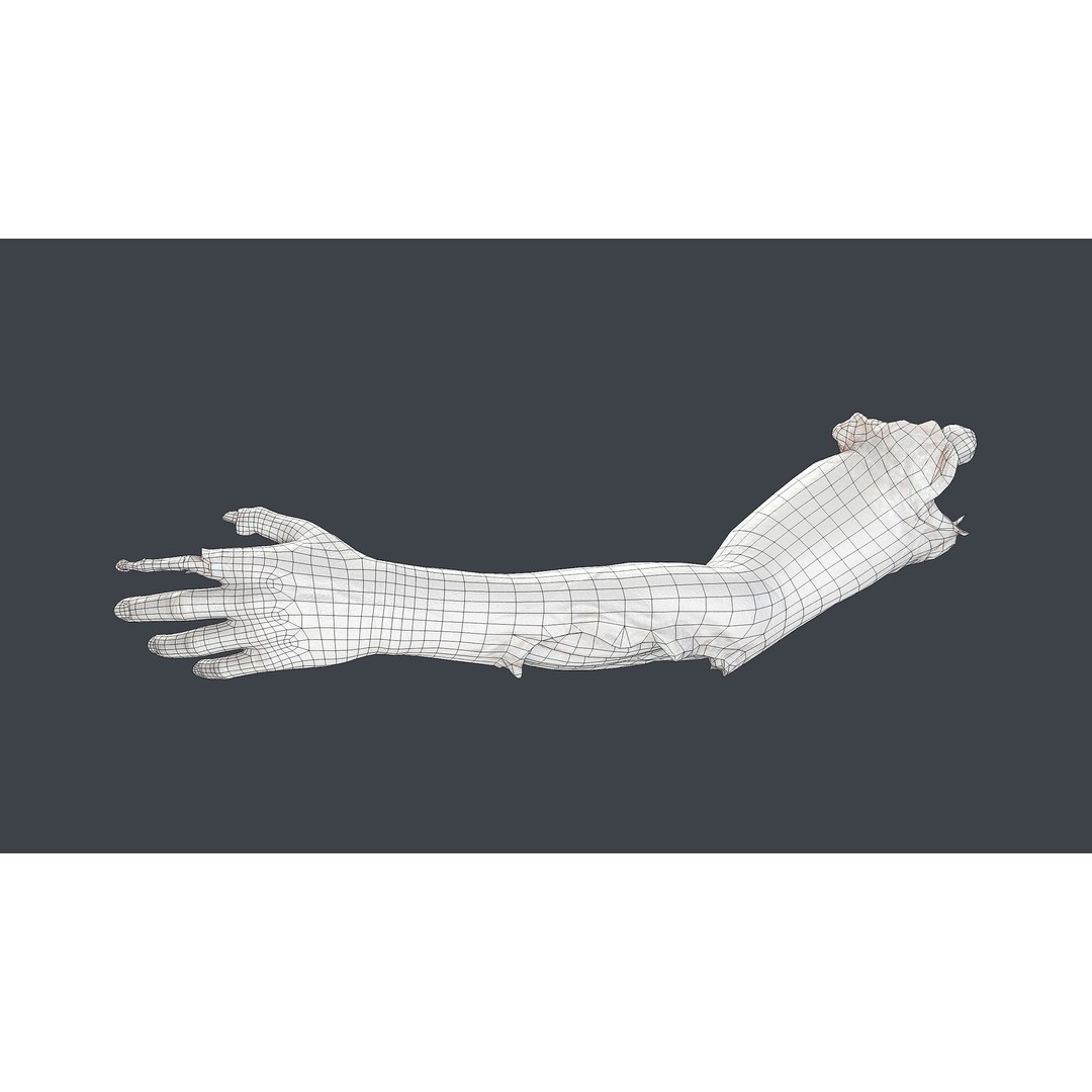 Severed Hands 3D Model – Low Poly Zombie Anatomy Asset, FBX - View 25