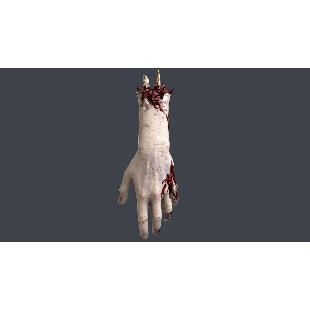 Severed Hands 3D Model – Low Poly Zombie Anatomy Asset, FBX - View 5