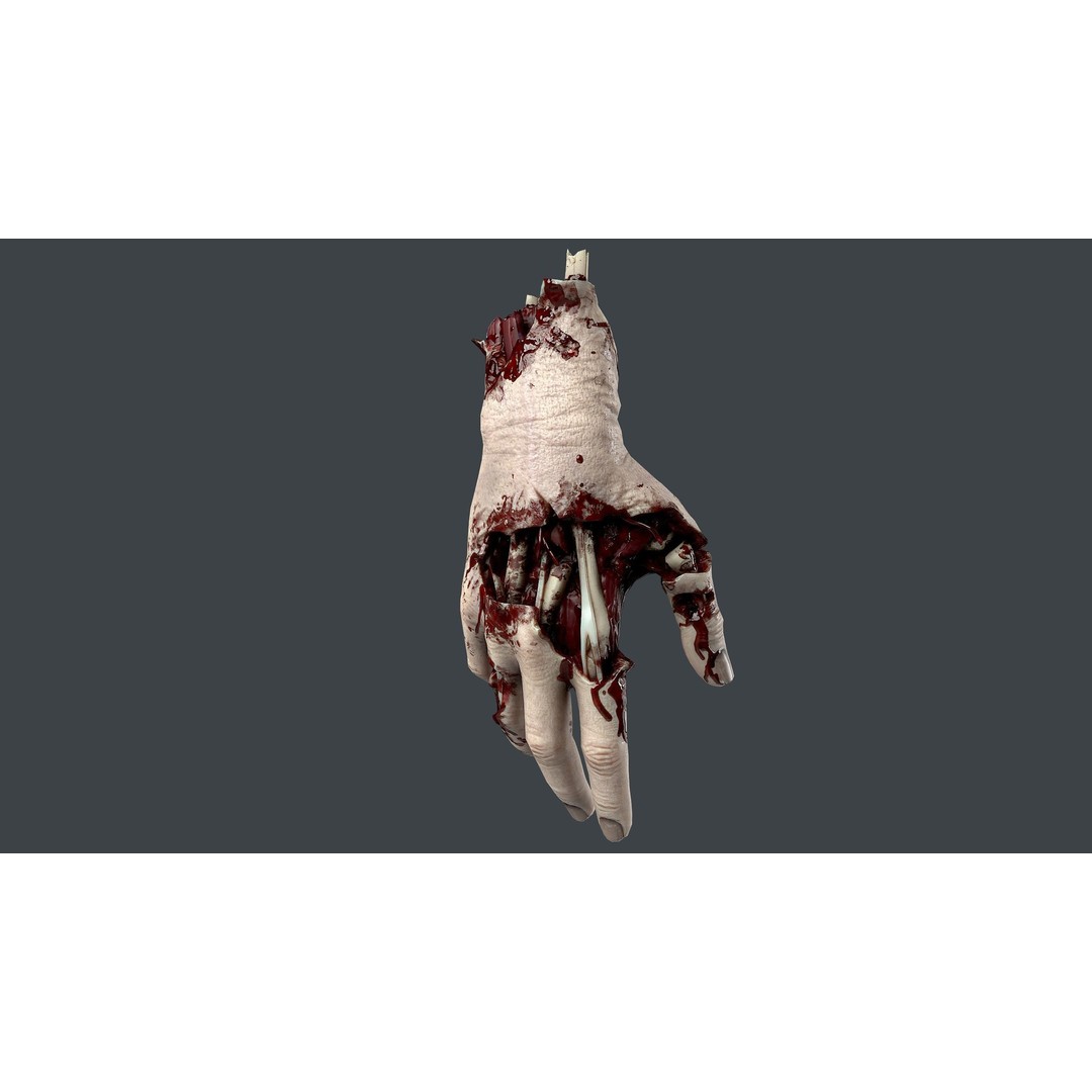 Severed Hands 3D Model – Low Poly Zombie Anatomy Asset, FBX - View 9