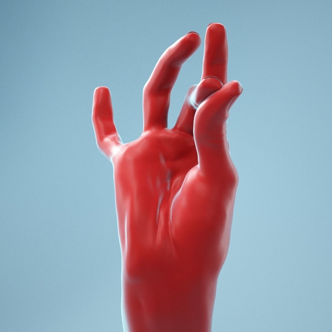 Pinch Gesture Realistic Hand 3D Model – High Poly PBR Asset, FBX - View 12