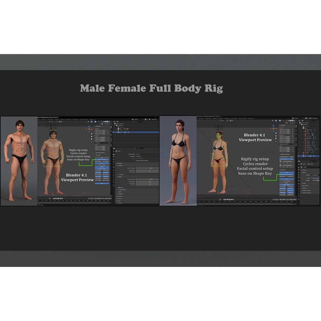Male Female Base 3D Model – Low Poly Rigged Character, FBX, Blender - View 15