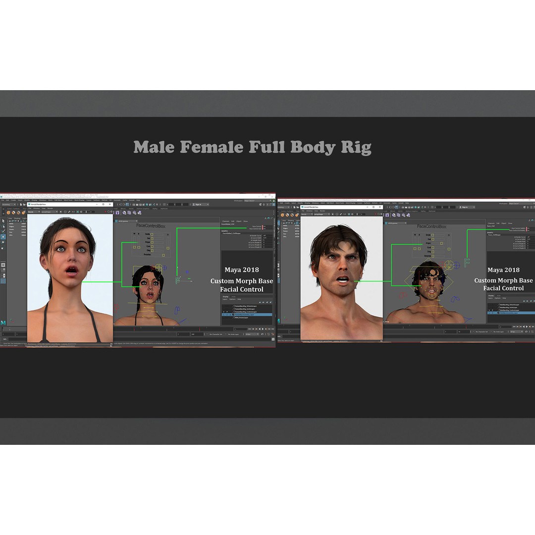 Male Female Base 3D Model – Low Poly Rigged Character, FBX, Blender - View 19