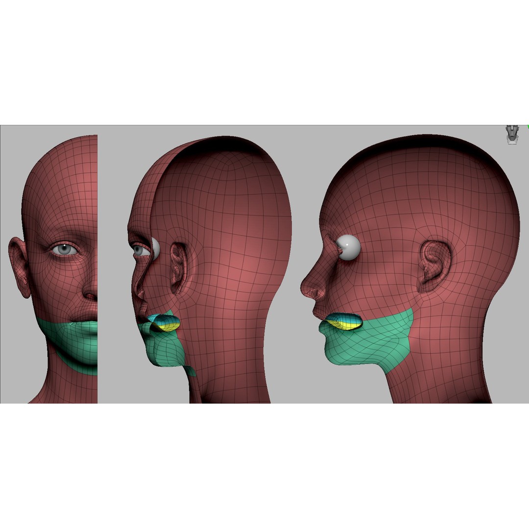 Realistic Female Body Base Mesh 3D Model – Low Poly Character, FBX, OBJ - View 15