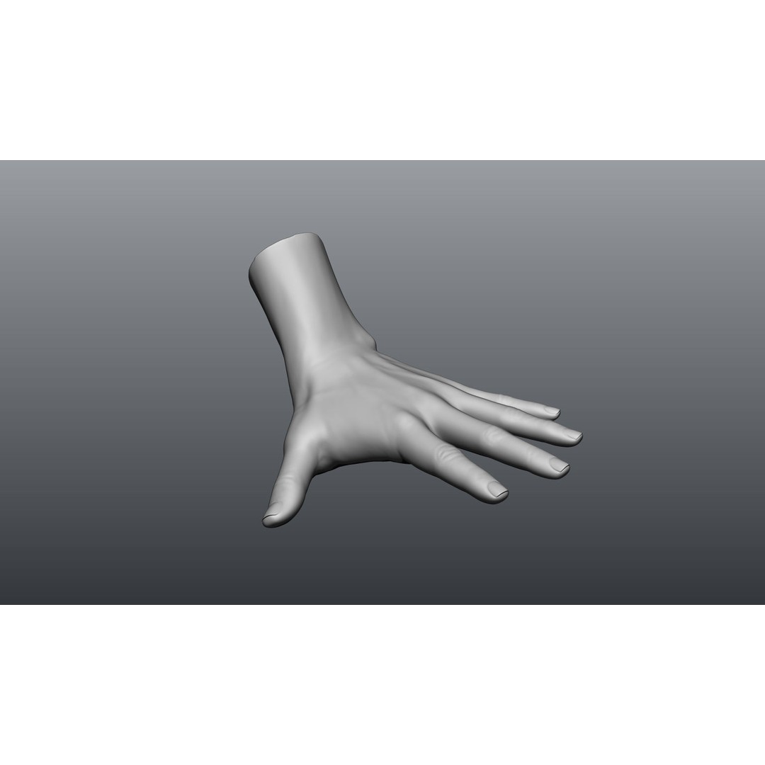 Female Hands 3D Model – Realistic Sculpt, ZTL & OBJ Formats