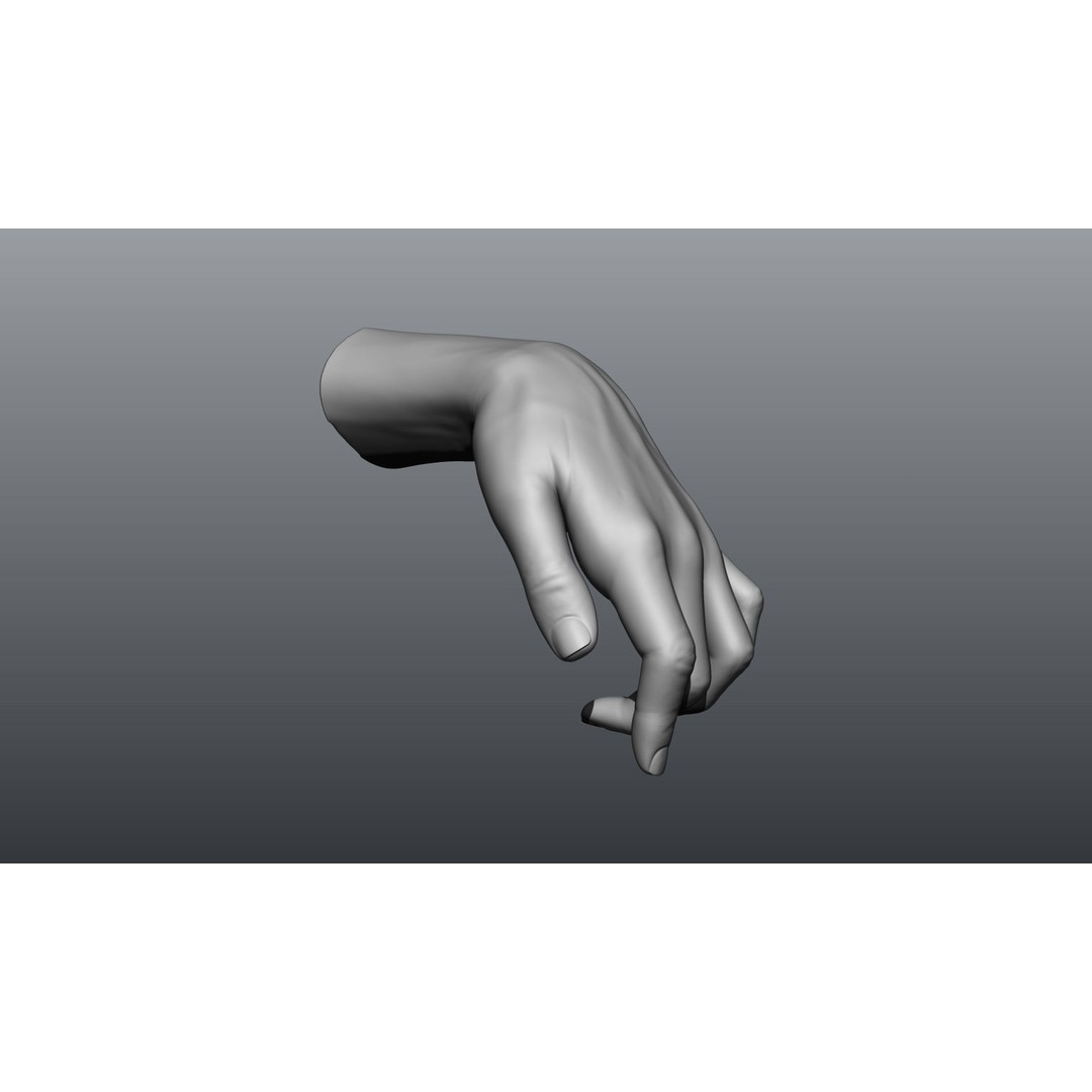 Female Hands 3D Model – Realistic Sculpt, ZTL & OBJ Formats - View 10