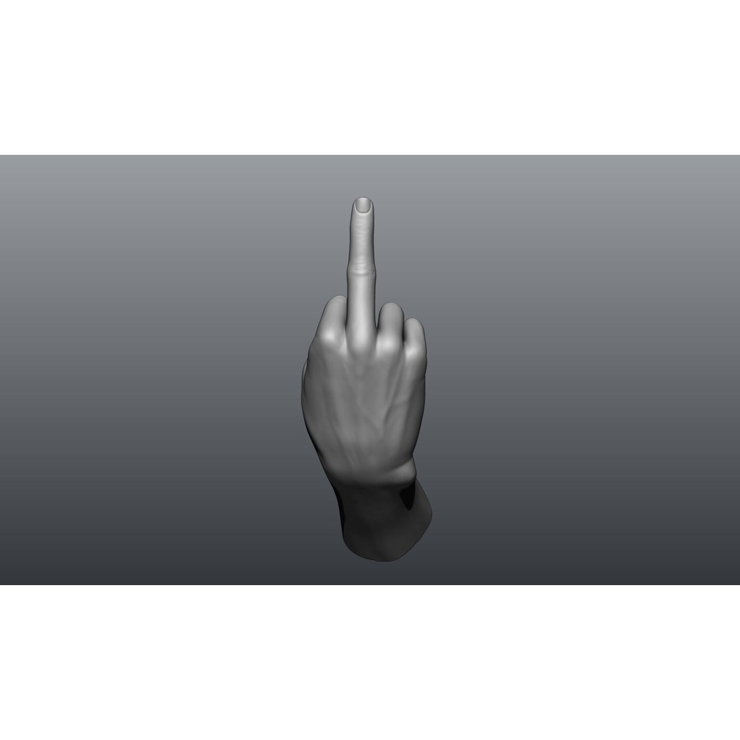 Female Hands 3D Model – Realistic Sculpt, ZTL & OBJ Formats - View 11