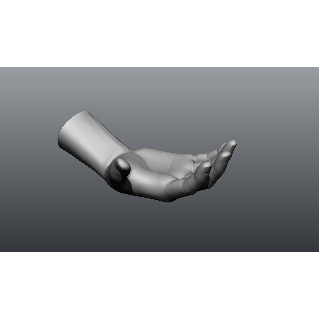 Female Hands 3D Model – Realistic Sculpt, ZTL & OBJ Formats - View 12