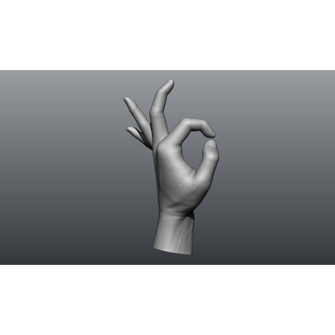 Female Hands 3D Model – Realistic Sculpt, ZTL & OBJ Formats - View 13