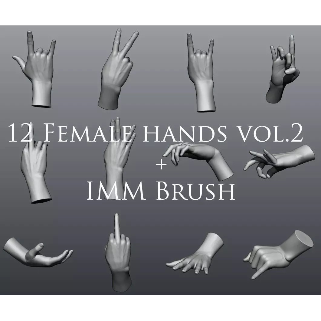 Female Hands 3D Model – Realistic Sculpt, ZTL & OBJ Formats - View 2