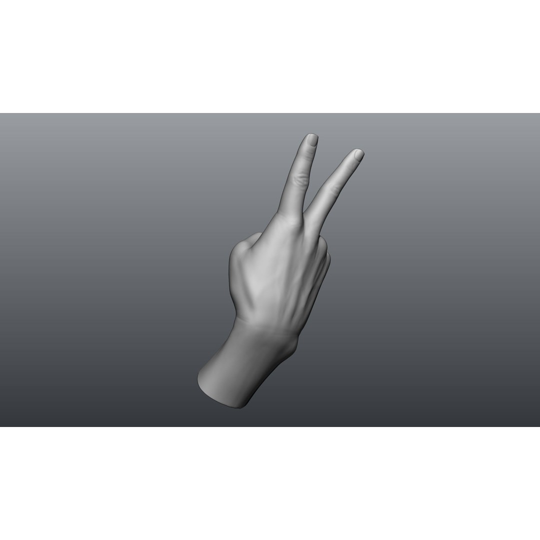 Female Hands 3D Model – Realistic Sculpt, ZTL & OBJ Formats - View 6