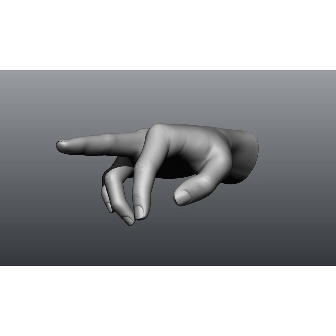 Female Hands 3D Model – Realistic Sculpt, ZTL & OBJ Formats - View 7