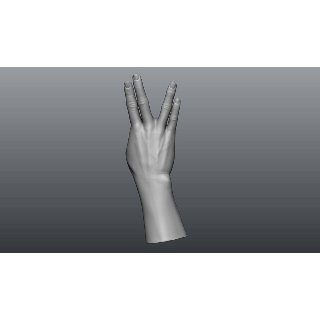 Female Hands 3D Model – Realistic Sculpt, ZTL & OBJ Formats - View 9