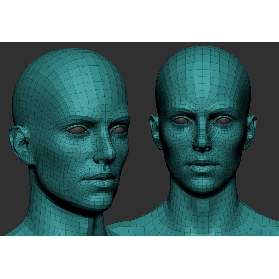 Female Anatomy Study 3D Model – Low Poly ZBrush Asset, Game Ready
